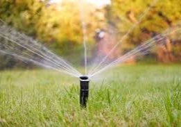 irrigation