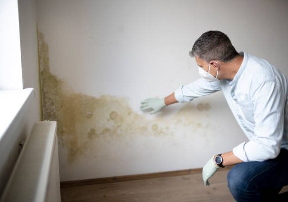 mold Man with mouth nose mask and blue shirt and gloves n front of white wall with mold